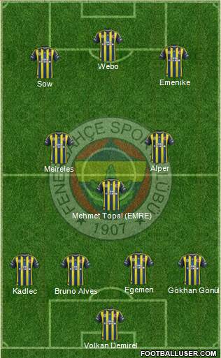Fenerbahçe SK Formation 2013