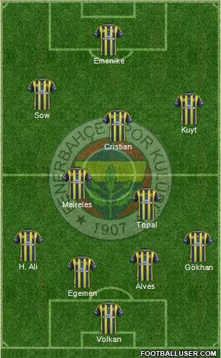 Fenerbahçe SK Formation 2013