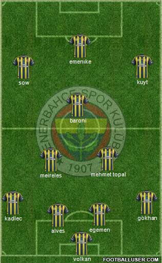 Fenerbahçe SK Formation 2013