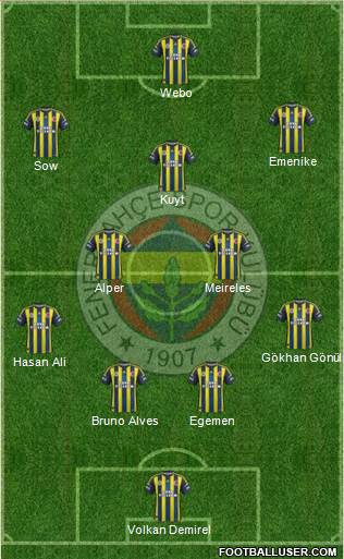 Fenerbahçe SK Formation 2013