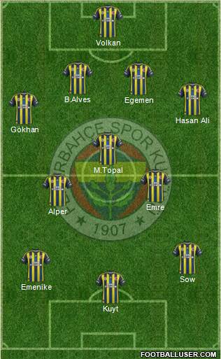 Fenerbahçe SK Formation 2013