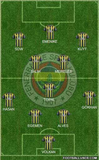 Fenerbahçe SK Formation 2013