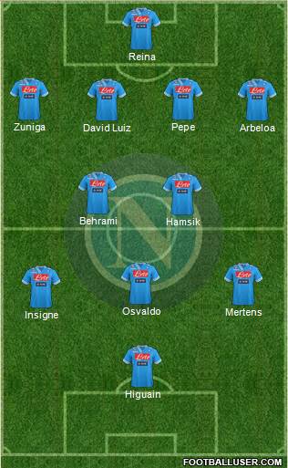 Napoli Formation 2013