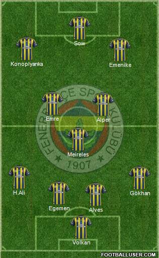 Fenerbahçe SK Formation 2013