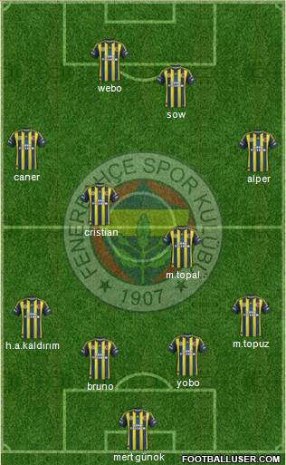 Fenerbahçe SK Formation 2013
