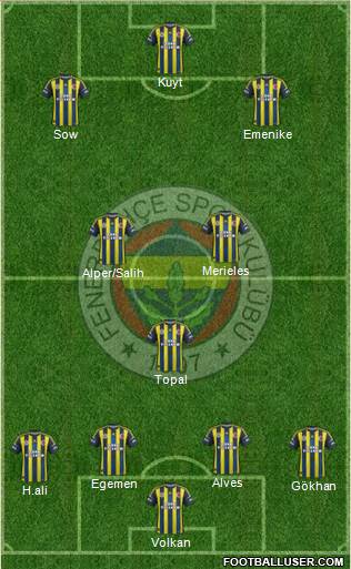 Fenerbahçe SK Formation 2013