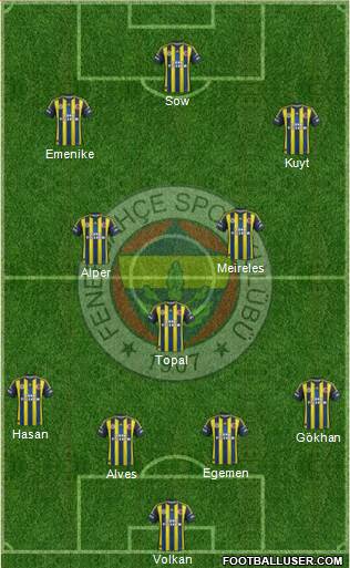 Fenerbahçe SK Formation 2013