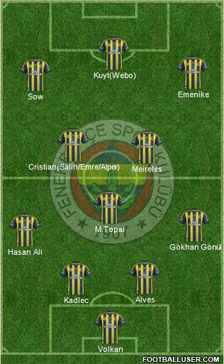 Fenerbahçe SK Formation 2013
