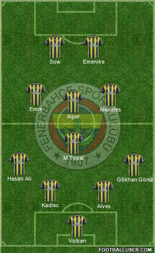 Fenerbahçe SK Formation 2013