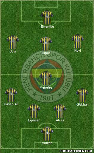 Fenerbahçe SK Formation 2013