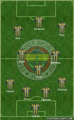 Fenerbahçe SK Formation 2013