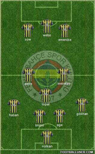 Fenerbahçe SK Formation 2013