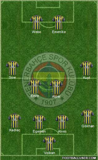 Fenerbahçe SK Formation 2013