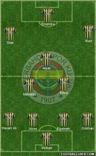 Fenerbahçe SK Formation 2013