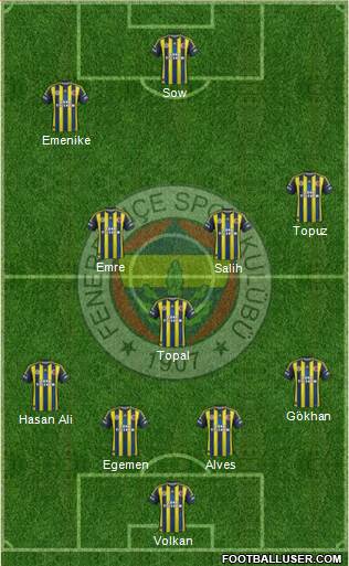 Fenerbahçe SK Formation 2013