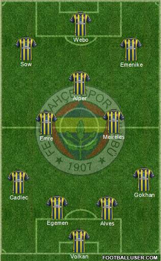 Fenerbahçe SK Formation 2013