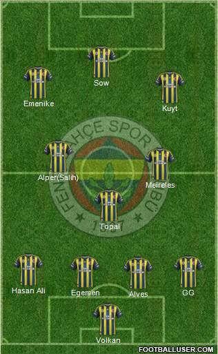 Fenerbahçe SK Formation 2013
