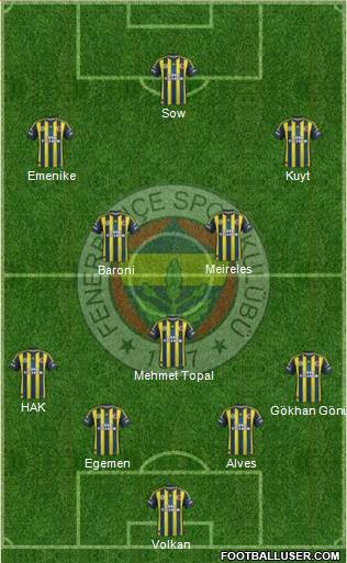 Fenerbahçe SK Formation 2013