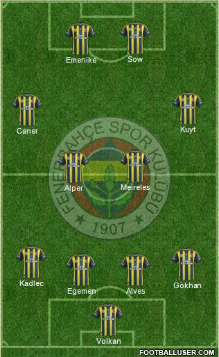 Fenerbahçe SK Formation 2013