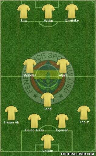 Fenerbahçe SK Formation 2013