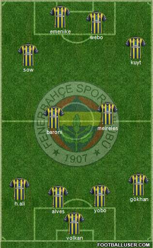 Fenerbahçe SK Formation 2013