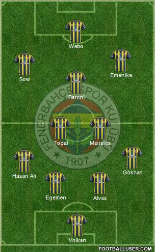 Fenerbahçe SK Formation 2013