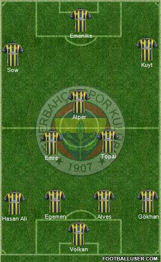 Fenerbahçe SK Formation 2013