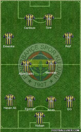 Fenerbahçe SK Formation 2013