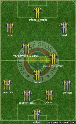 Fenerbahçe SK Formation 2013
