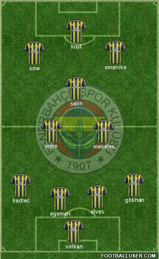 Fenerbahçe SK Formation 2013