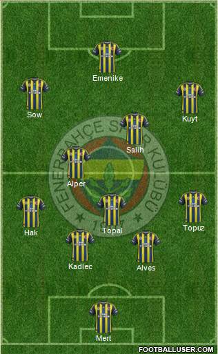 Fenerbahçe SK Formation 2013