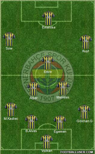 Fenerbahçe SK Formation 2013