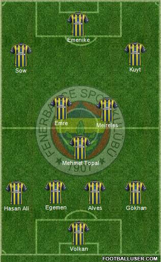 Fenerbahçe SK Formation 2013
