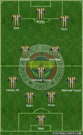 Fenerbahçe SK Formation 2013