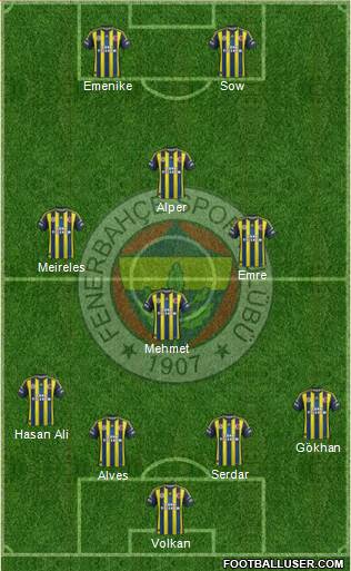 Fenerbahçe SK Formation 2013