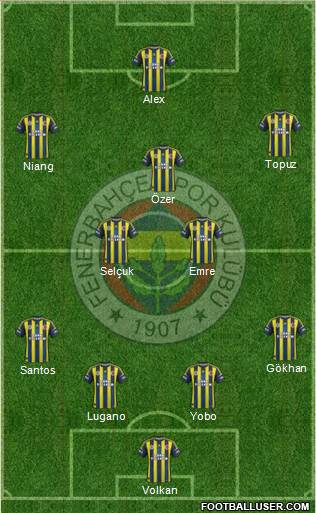 Fenerbahçe SK Formation 2013