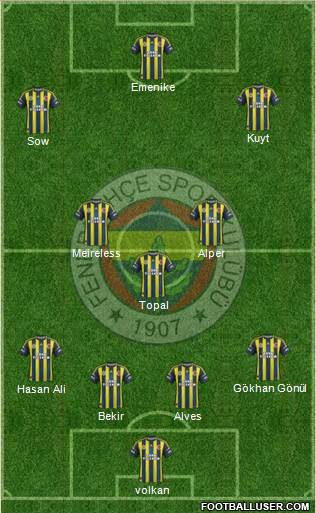 Fenerbahçe SK Formation 2013