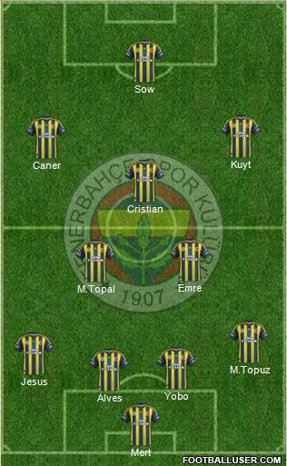 Fenerbahçe SK Formation 2013