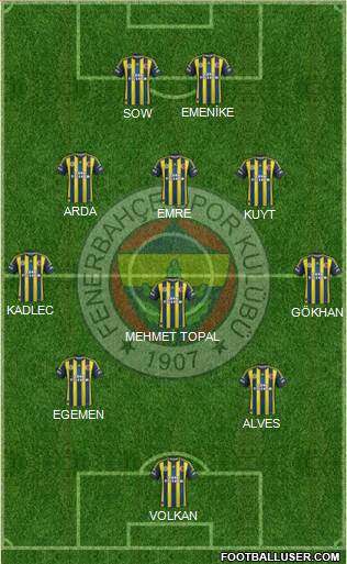 Fenerbahçe SK Formation 2013