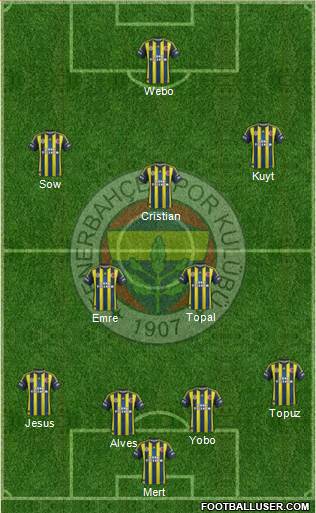 Fenerbahçe SK Formation 2013