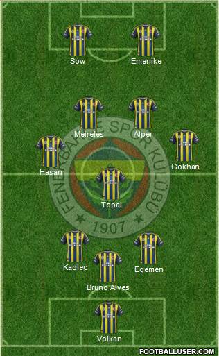 Fenerbahçe SK Formation 2013