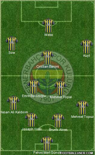Fenerbahçe SK Formation 2013