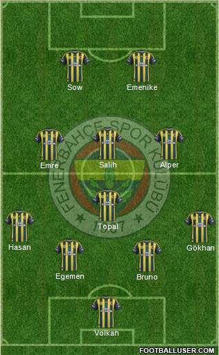 Fenerbahçe SK Formation 2013