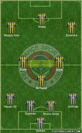 Fenerbahçe SK Formation 2013