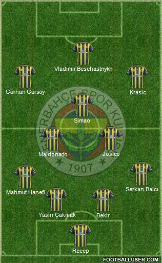 Fenerbahçe SK Formation 2013