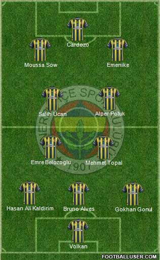 Fenerbahçe SK Formation 2013