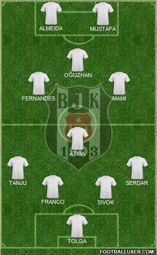 Besiktas JK Formation 2013