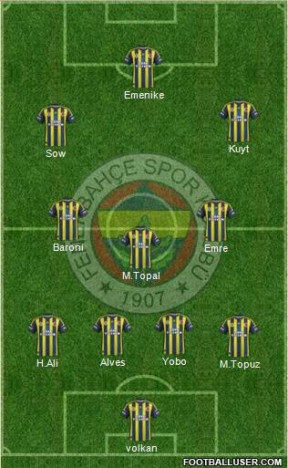 Fenerbahçe SK Formation 2013
