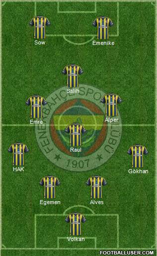 Fenerbahçe SK Formation 2013