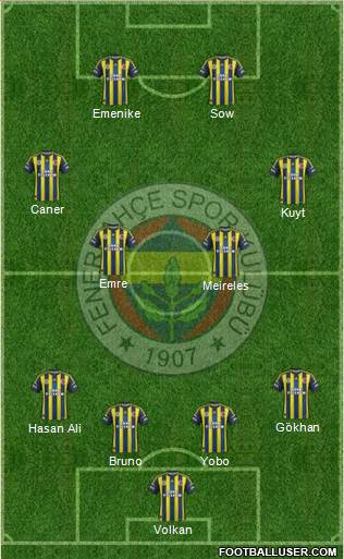Fenerbahçe SK Formation 2013
